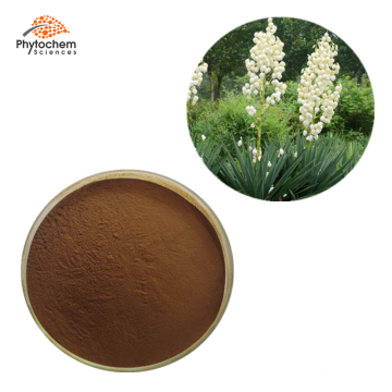 60% Saponins yucca schidigera 100 pure yucca leaf extract powder